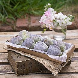 《最终幻想16》新角色哈曼 秘密侦查部队酷炫御姐